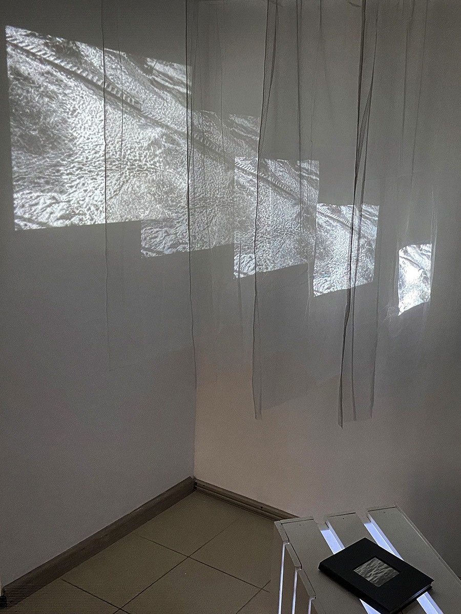 Family Portret. Katya Bogachevskaya — independent curator, lecturer