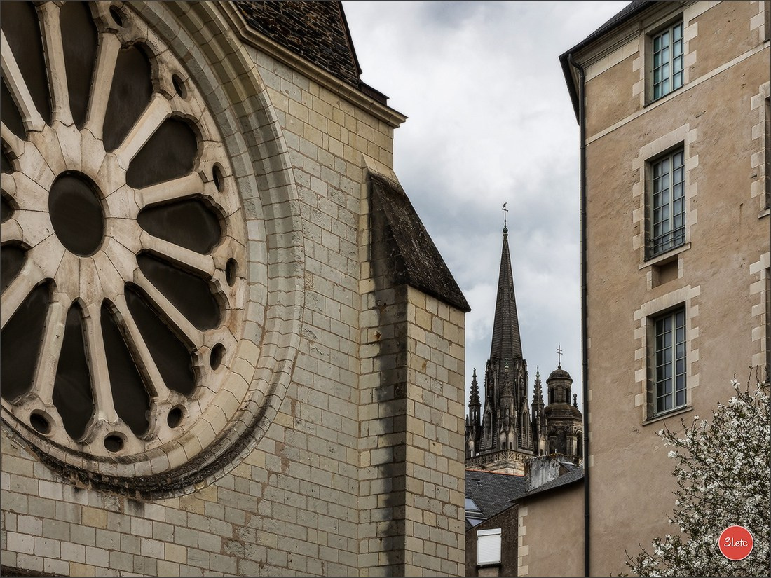 Angers. Photographe à Strasbourg | Portraits, Studio, Enfants, Événements