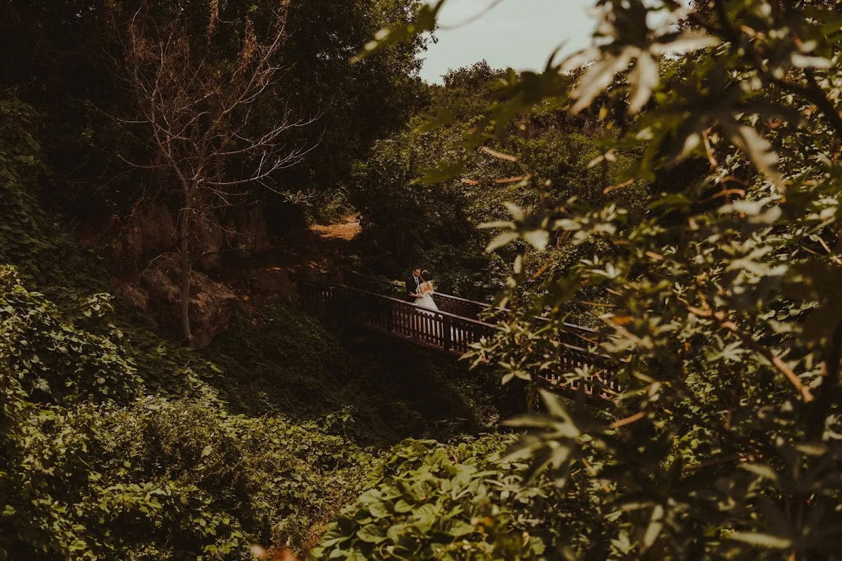 Where Every Moment Becomes Timeless