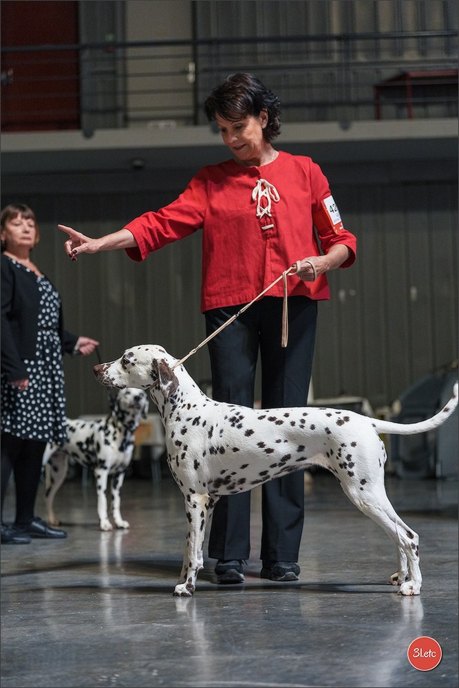 Expo canine 🇫🇷 Martigues 18-19/04/2026