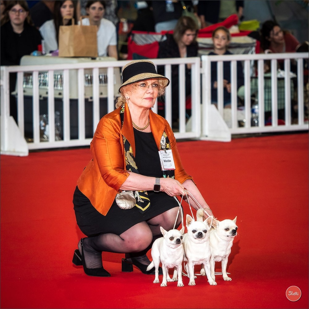 Photographie animalière. Photographe à Strasbourg | Portraits, Studio, Enfants, Événements