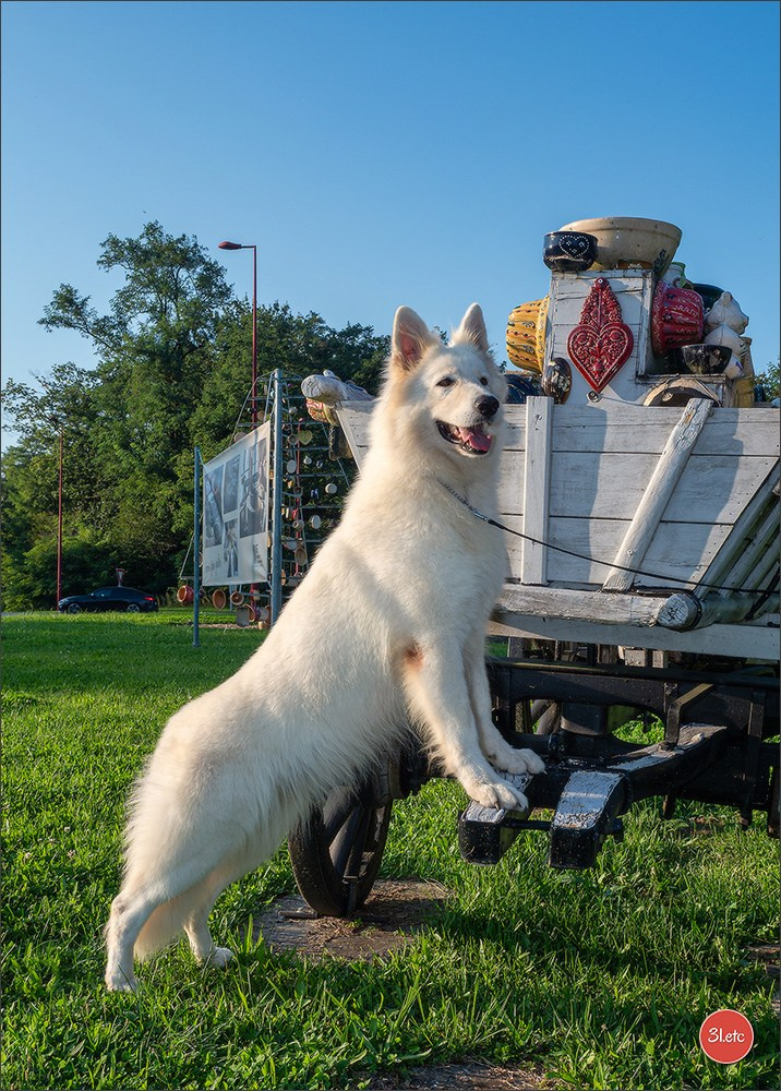 Domaine de la patte blanche. Photographe à Strasbourg | Portraits, Studio, Enfants, Événements