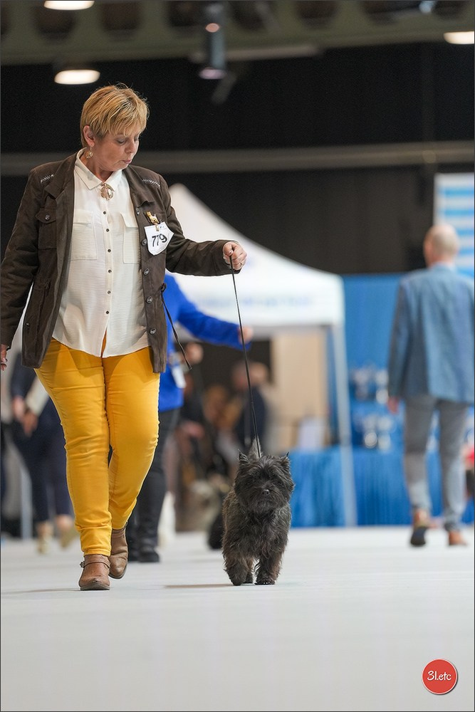 🇱🇺 LUXEMBOURG 🇱🇺 International Dog Show 4-5/04/2026. Photographe à Strasbourg | Portraits, Studio, Enfants, Événements