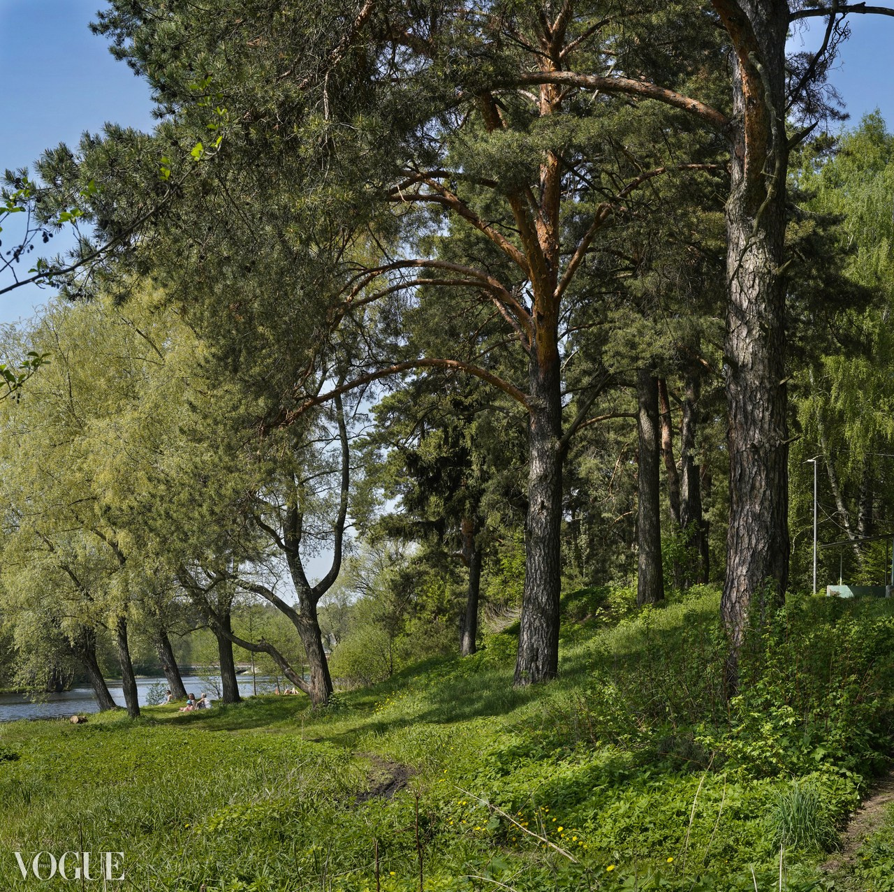 Красота садов и парков. Суть фотографии в стиле изобразительного искусства