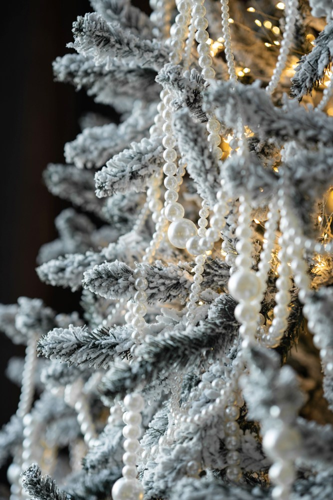 Зал № 3 Ноябрь (700-800л/час) Декабрь (800-900л/час). Семейный фотограф в Кишинёве THOMAS SHTIFT