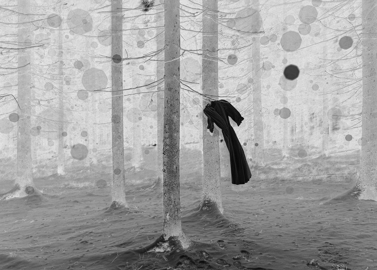 The Enchanted Forest. Oksana Zhila, Valokuvaaja, Suomi, Lahti, Mikkeli, Helsinki