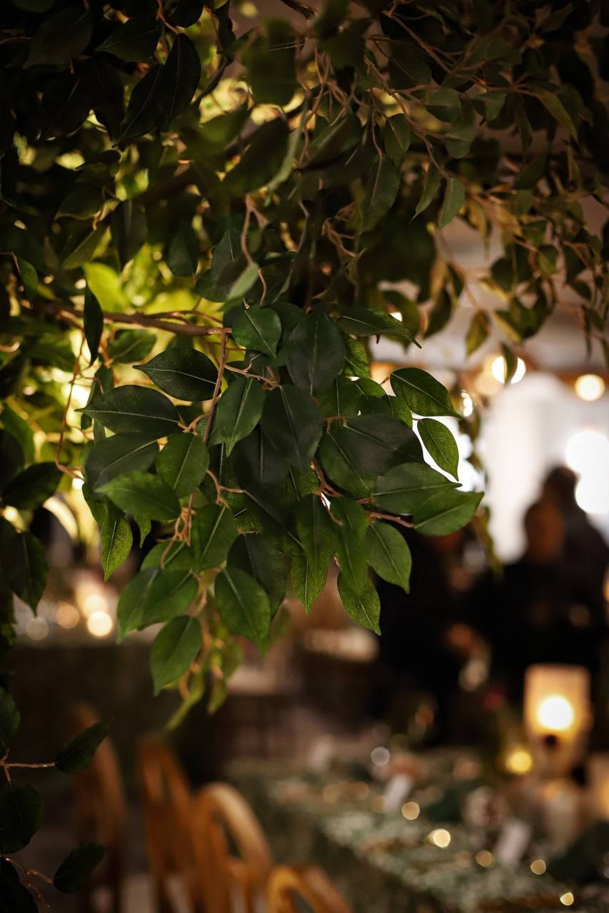 LD. VALERIIA VIUNOVA individual shooting\love story\event\brand