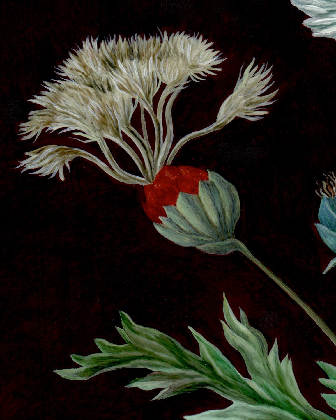 The Plant. ELEN BEZHEN