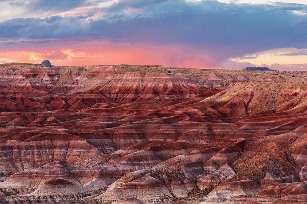 Eagle’s View — Arizona. Pet, Senior, Landscape, portrait studio, photographer in Miami and Sou