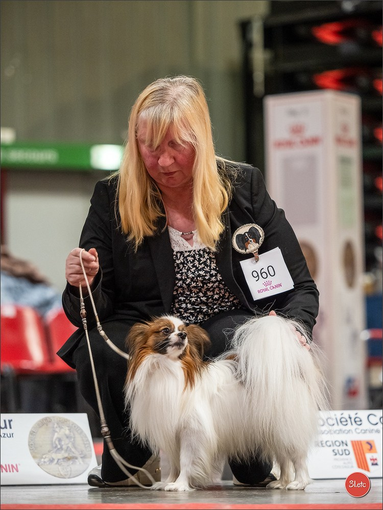Expo canine 🇫🇷 Martigues  19-20/04/2025. Photographe à Strasbourg | Portraits, Studio, Enfants, Événements