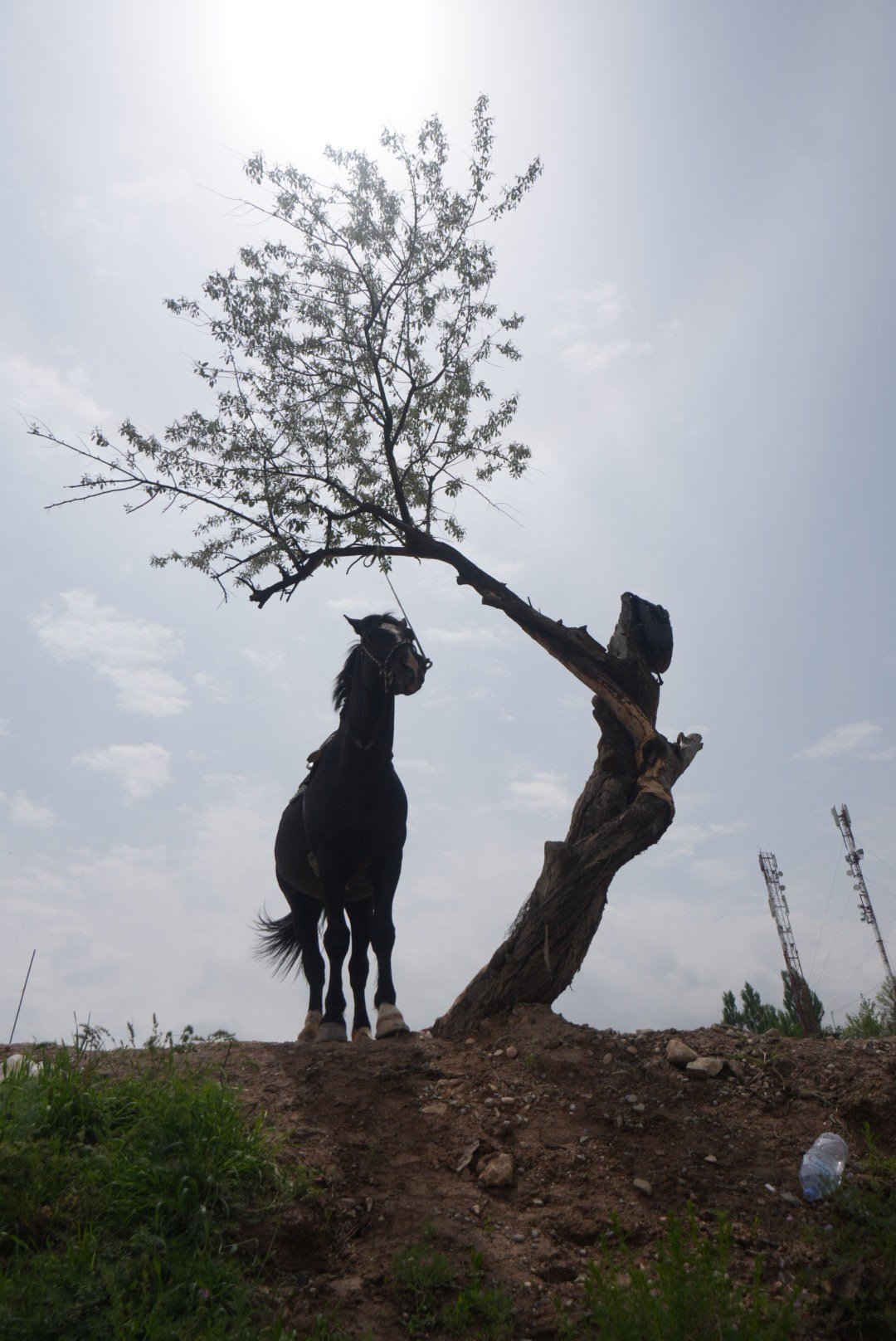 Uzbekistan 2024. Photographer Marina, city of Nuremberg