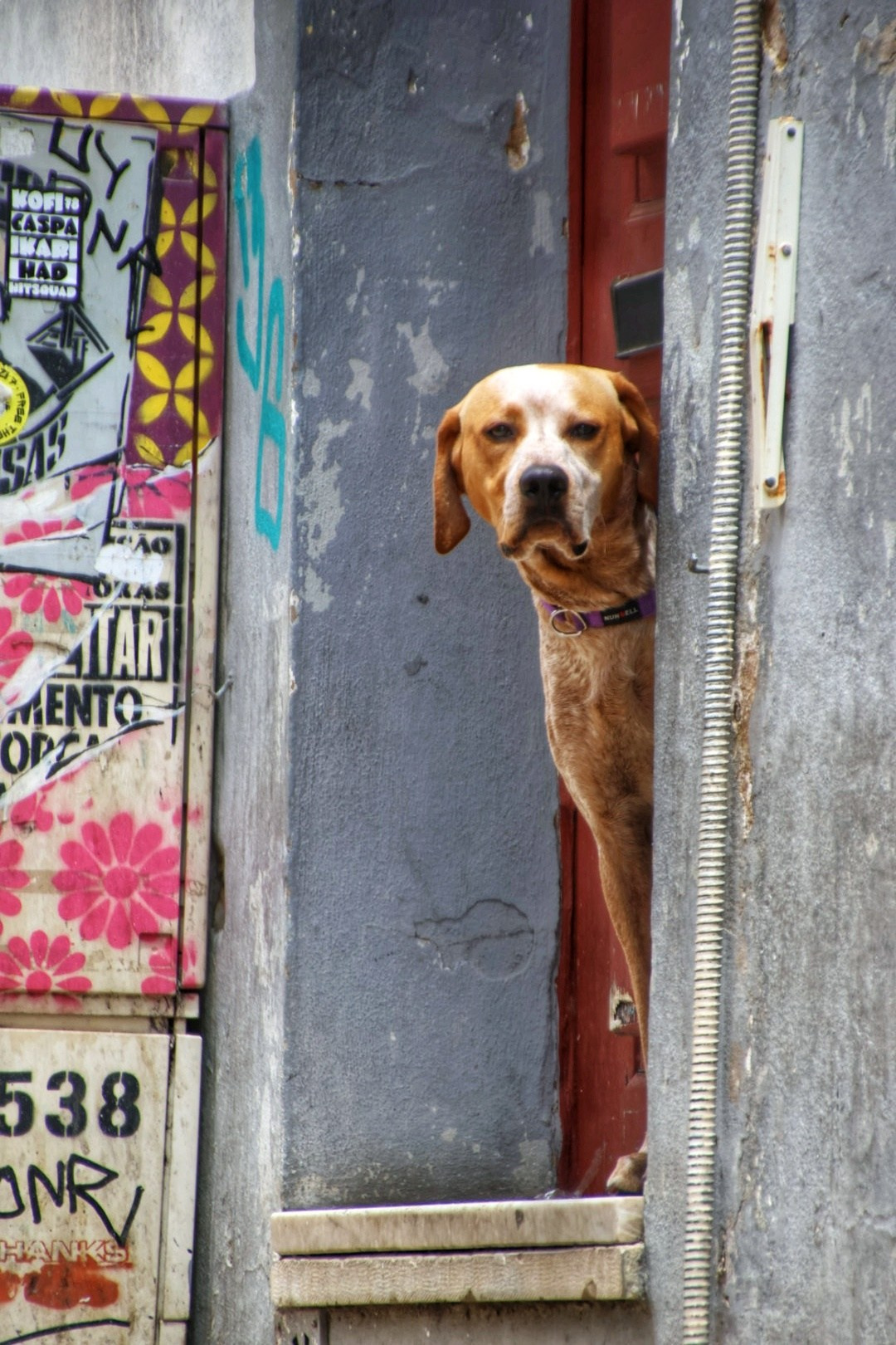 Portugal 2024. Марина фотограф из Нюрнберга