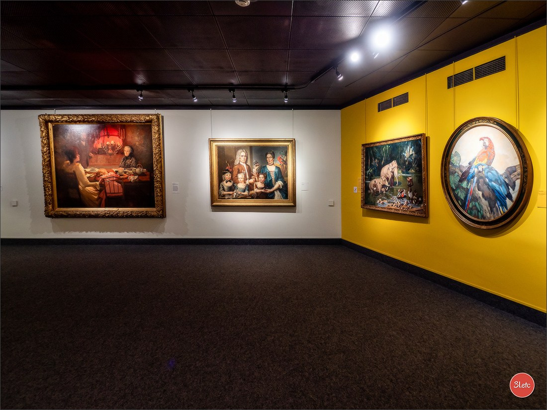 Poitiers 🇫🇷. Photographe à Strasbourg | Portraits, Studio, Enfants, Événements