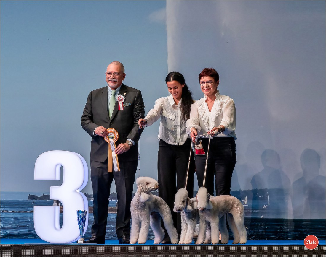 🇨🇭 Geneva Dog Show 15-17/11/2024. Photographe à Strasbourg | Portraits, Studio, Enfants, Événements