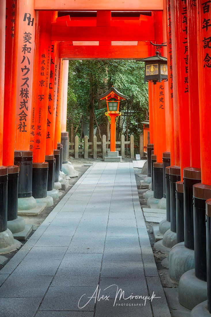 Hanami Season in Japan. Pet, Senior, Landscape, portrait studio, photographer in Miami and Sou