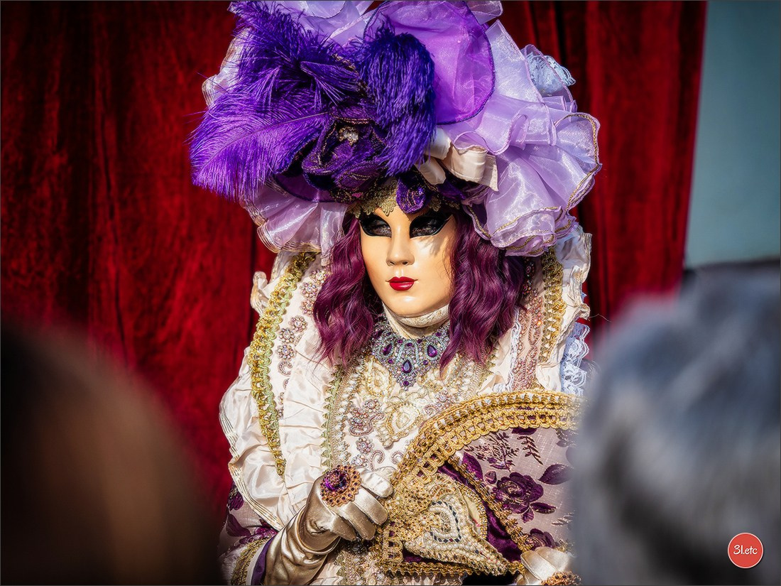 Carnaval vénitien de Rosheim 2026. Photographe à Strasbourg | Portraits, Studio, Enfants, Événements