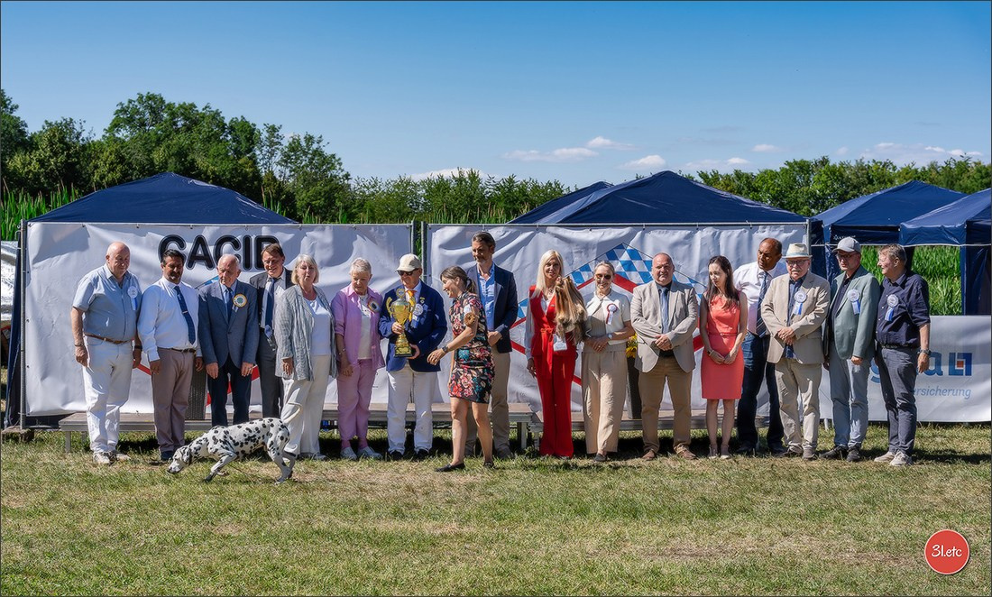 Dog Show - Hallbergmoos 🇩🇪 11-12/07/2026