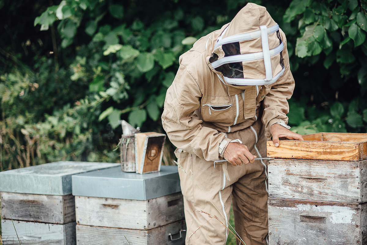 Медовая пасека. Ksenia Marchand/ Lifestyle фотограф в Париже