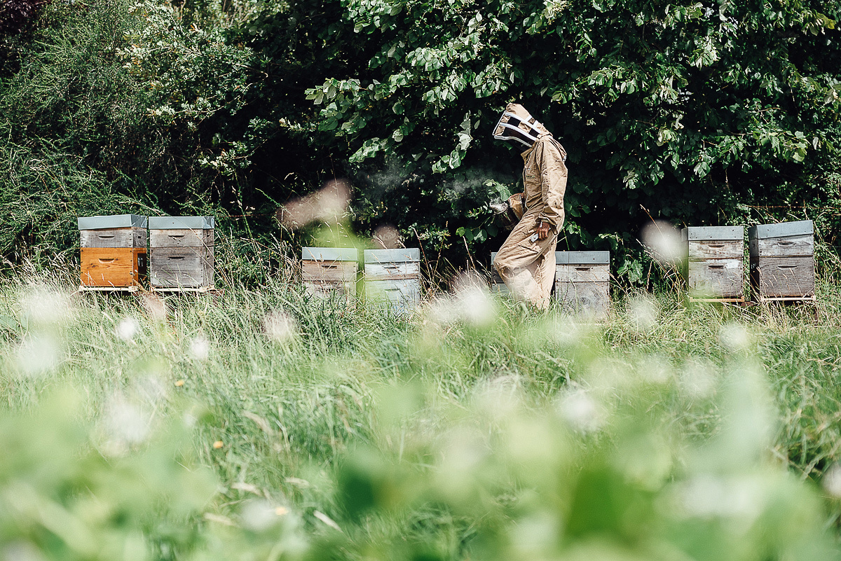 Медовая пасека. Ksenia Marchand/ Lifestyle фотограф в Париже