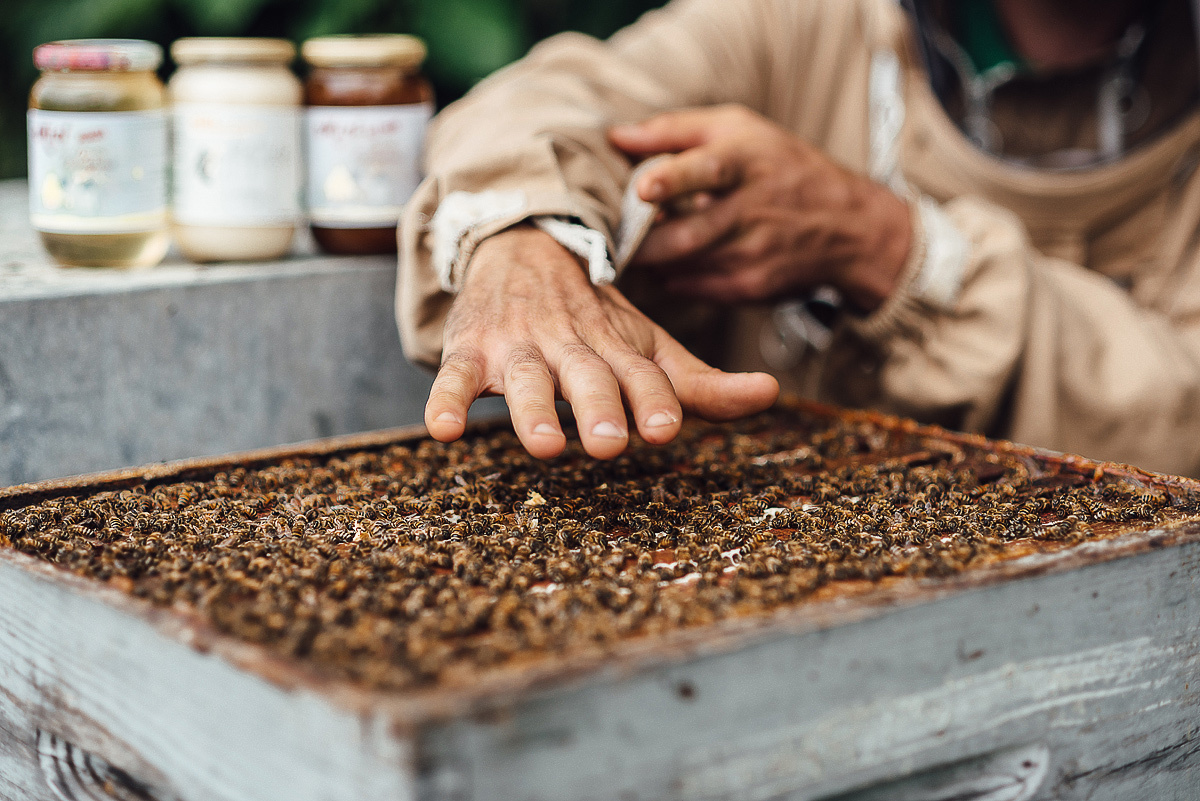 Медовая пасека. Ksenia Marchand/ Lifestyle фотограф в Париже