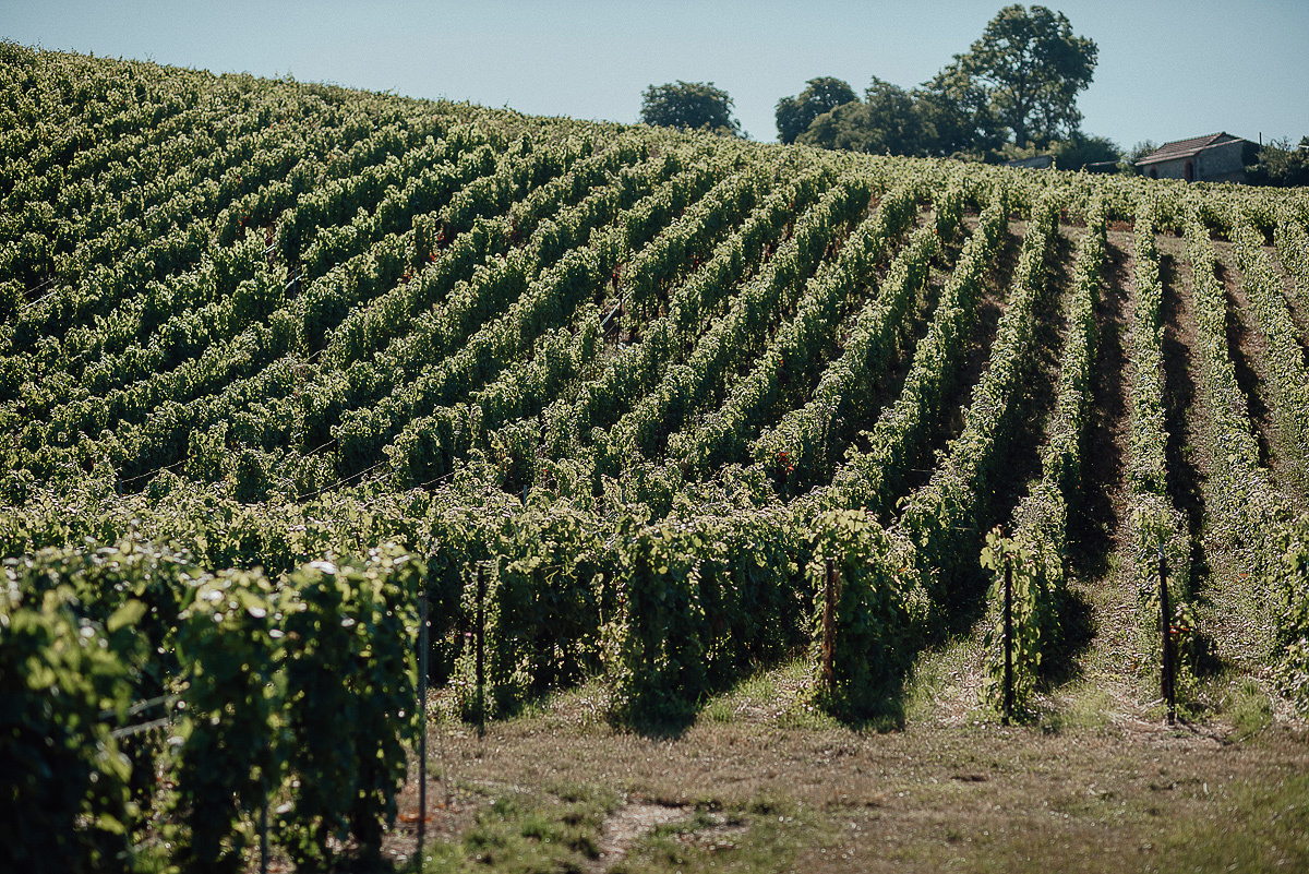 Nathalie Liebart Champagne. Ksenia Marchand/ Lifestyle фотограф в Париже
