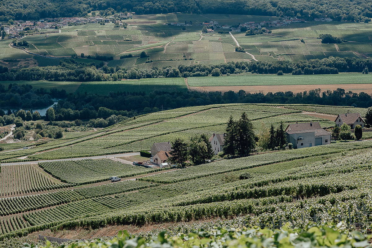 Nathalie Liebart Champagne. Ksenia Marchand/ Lifestyle фотограф в Париже