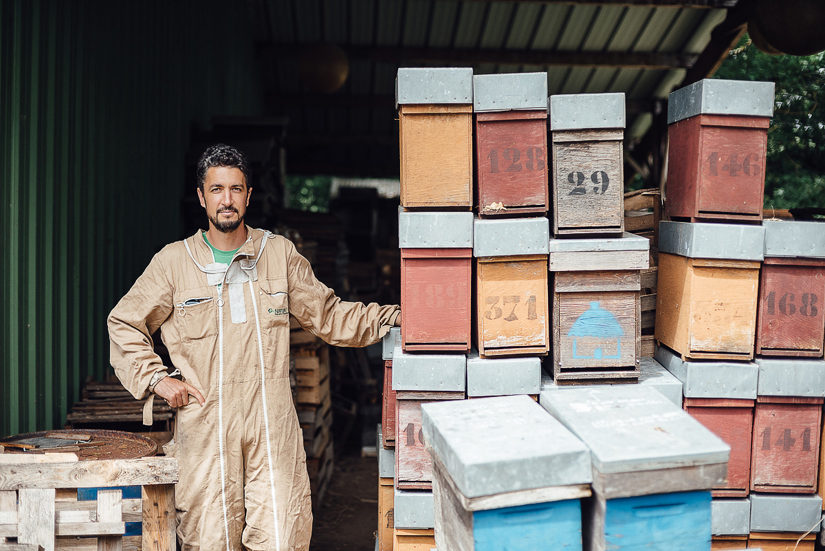 Медовая пасека. Ksenia Marchand/ Lifestyle фотограф в Париже