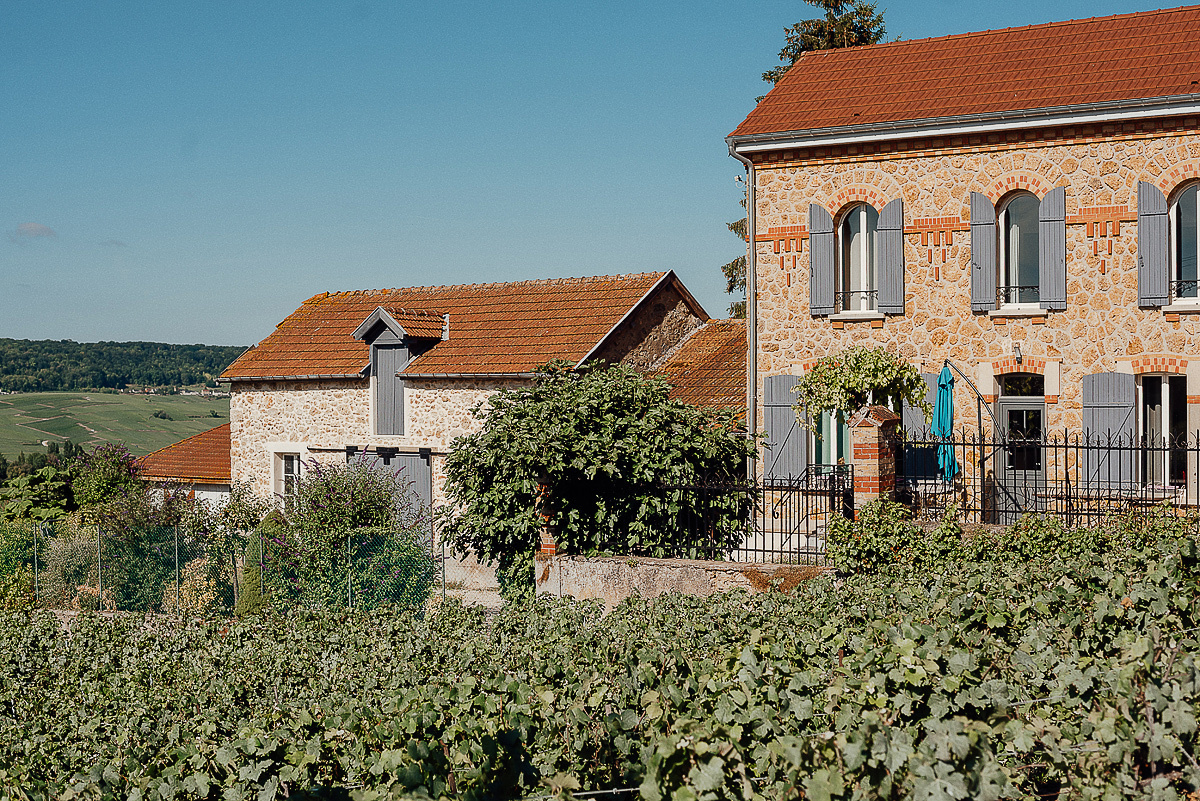 Nathalie Liebart Champagne. Ksenia Marchand/ Lifestyle фотограф в Париже