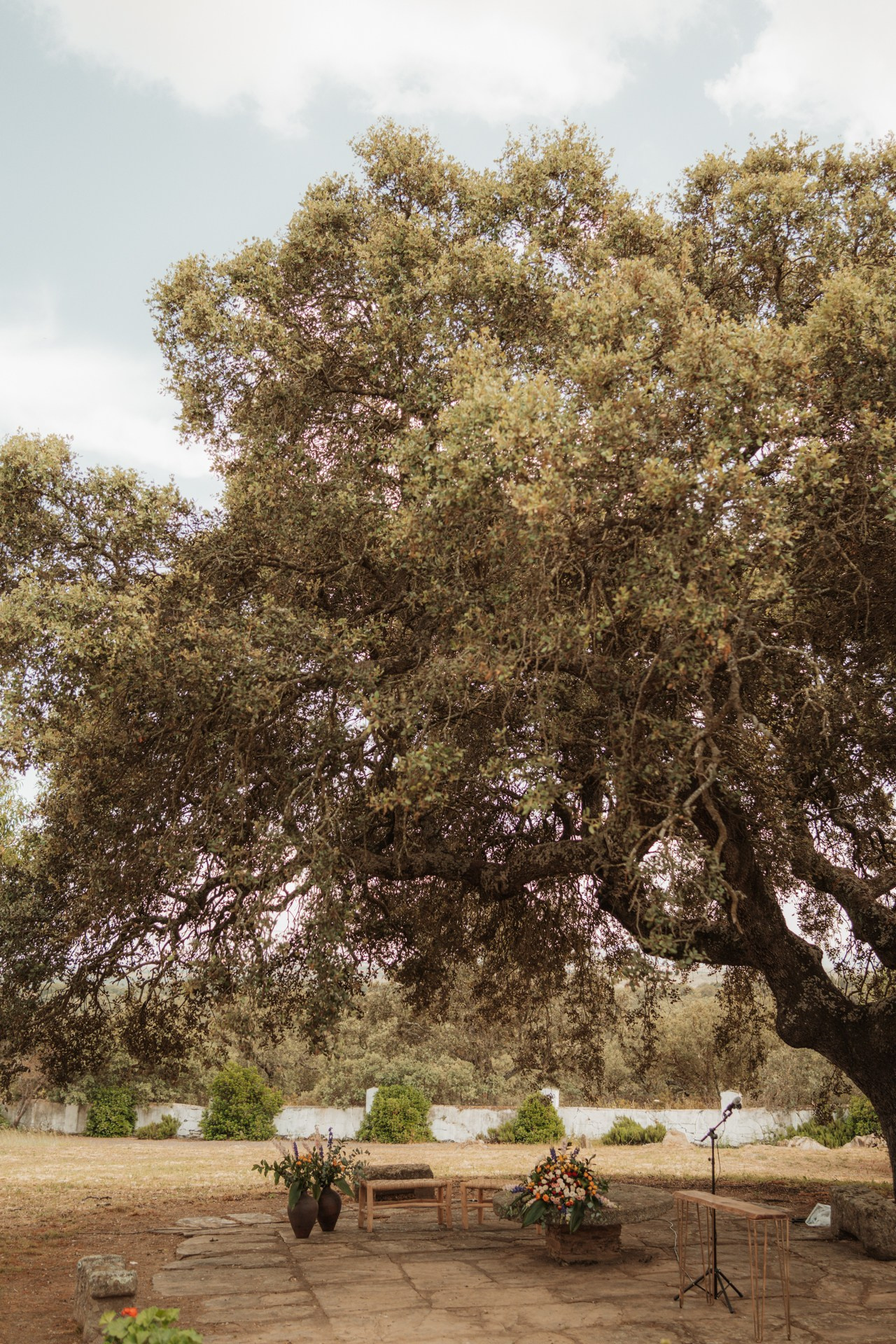 Miguel & Jorge · Boda en Finca las Golondrinas, Cáceres | Alianza Weddings