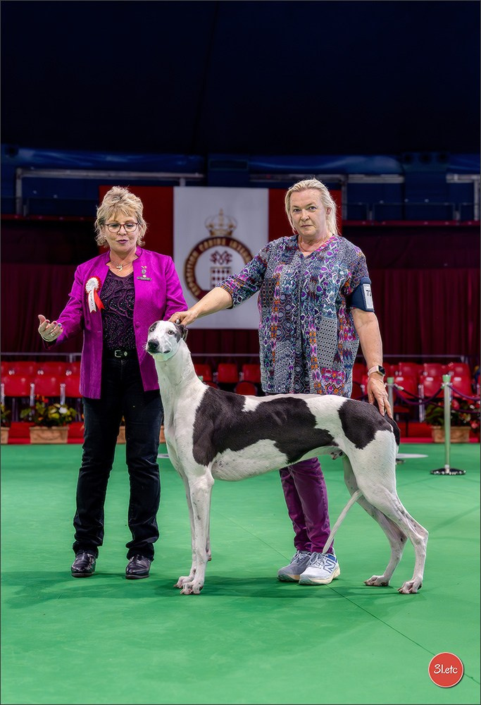 Expo canine 🇲🇨 Monaco 9-10/05/2026. Photographe à Strasbourg | Les animaux, Portraits, Studio, Événements