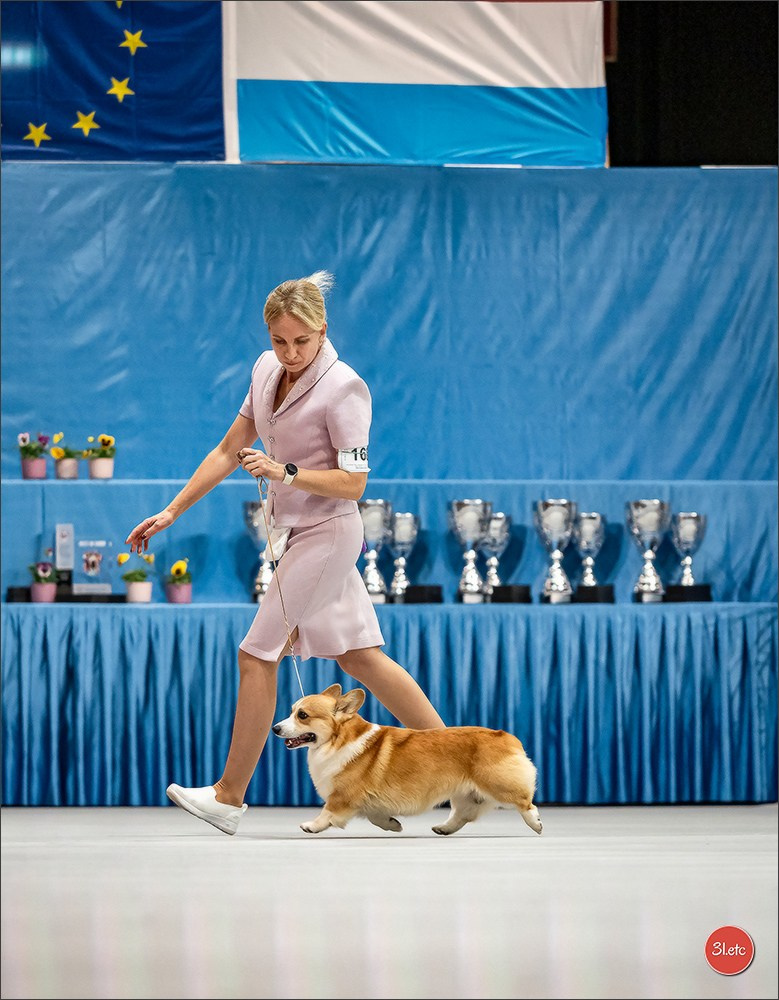 🇱🇺 LUXEMBOURG 🇱🇺 International Dog Show 🇱🇺 30/08 - 31/08/2025. Photographe à Strasbourg | Portraits, Studio, Enfants, Événements