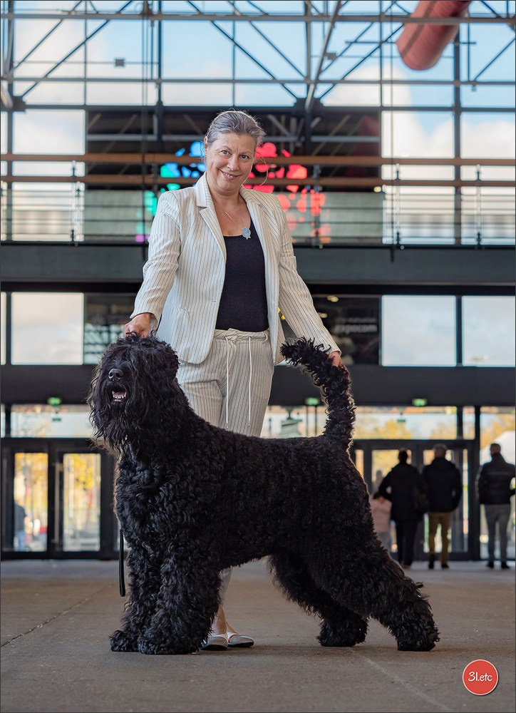 Expo canine  🇫🇷  Metz 08-09/11/2025. Photographe à Strasbourg | Portraits, Studio, Enfants, Événements