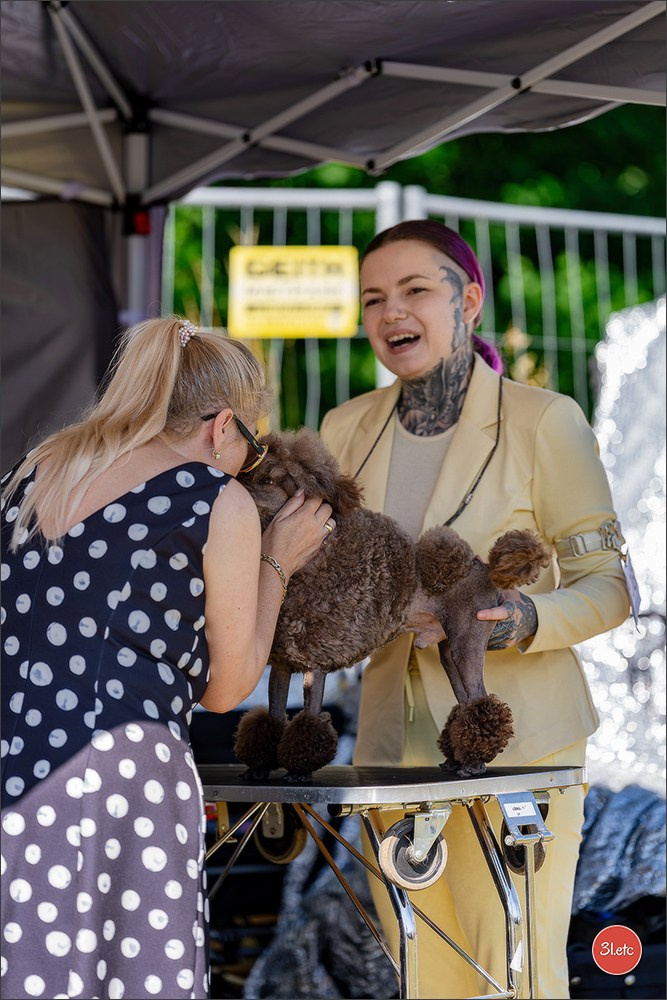 Dog Show - Hallbergmoos 🇩🇪 11-12/07/2026
