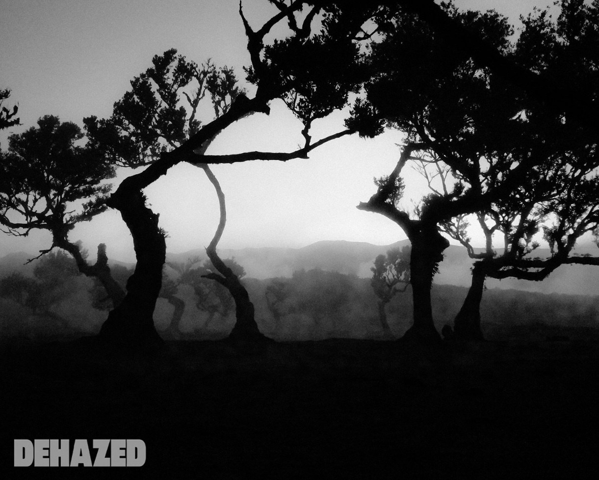 AWARDS. Yana Bobrova | Artistic Photography