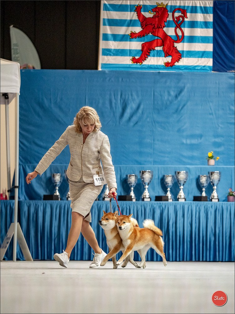 🇱🇺 LUXEMBOURG 🇱🇺 International Dog Show 🇱🇺 30/08 - 31/08/2025. Photographe à Strasbourg | Portraits, Studio, Enfants, Événements