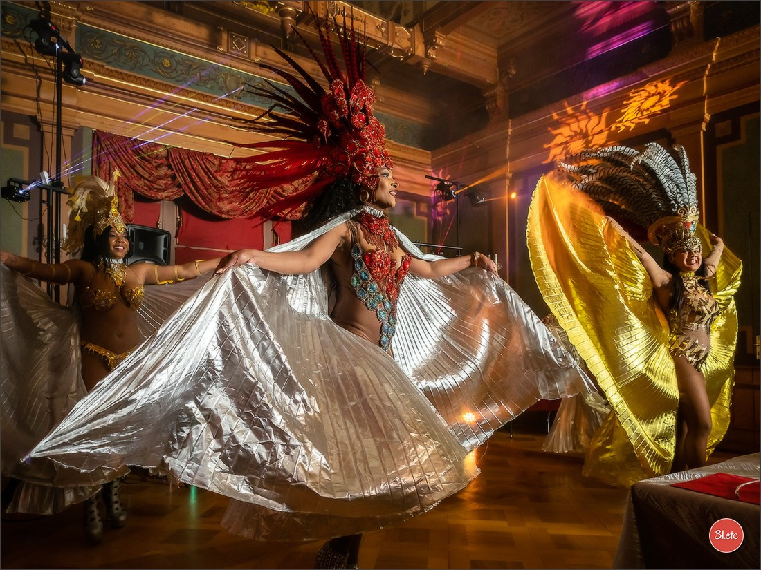 Concerts . Carnavals . Festivals. Photographe à Strasbourg | Portraits, Studio, Enfants, Événements