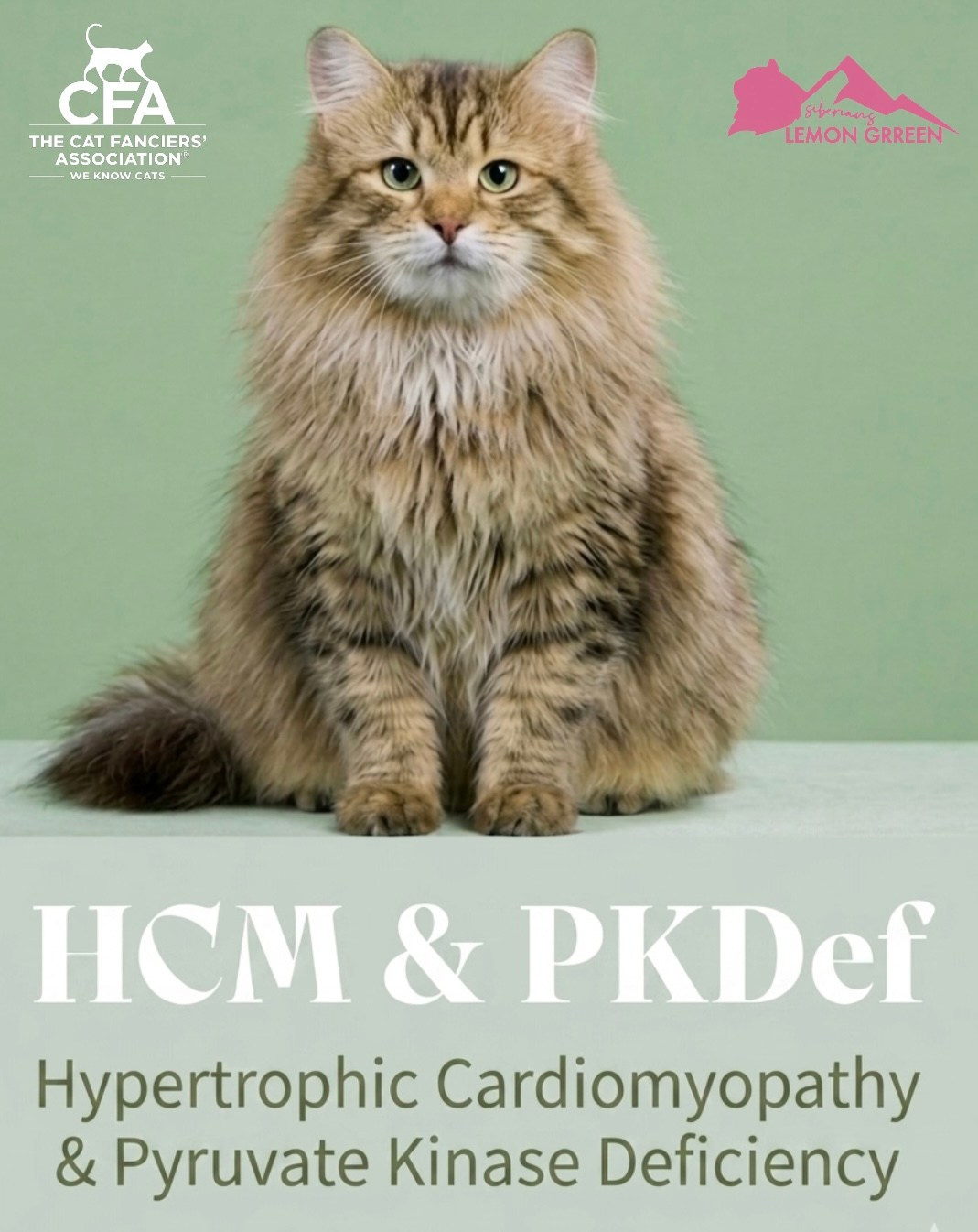 HCM&PKDEF