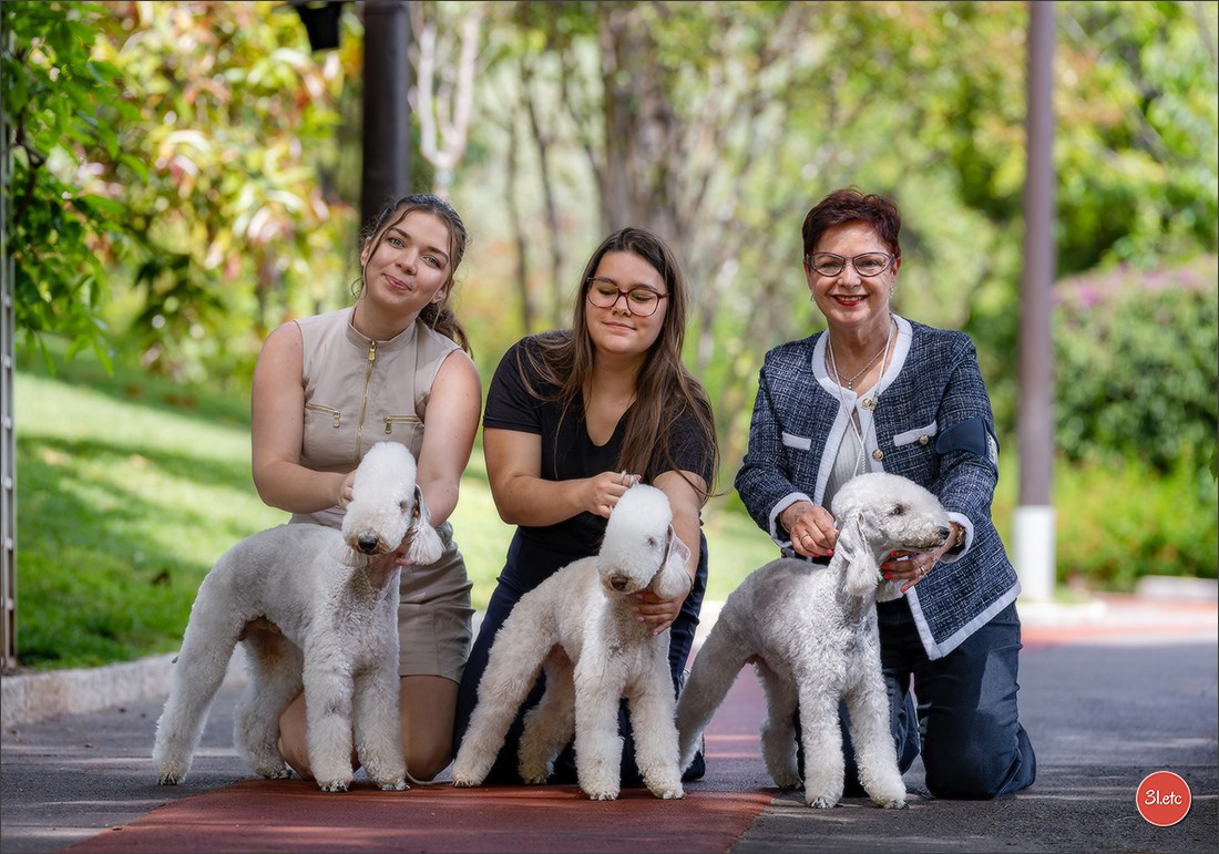Expo canine 🇲🇨 Monaco 9-10/05/2026. Photographe à Strasbourg | Les animaux, Portraits, Studio, Événements