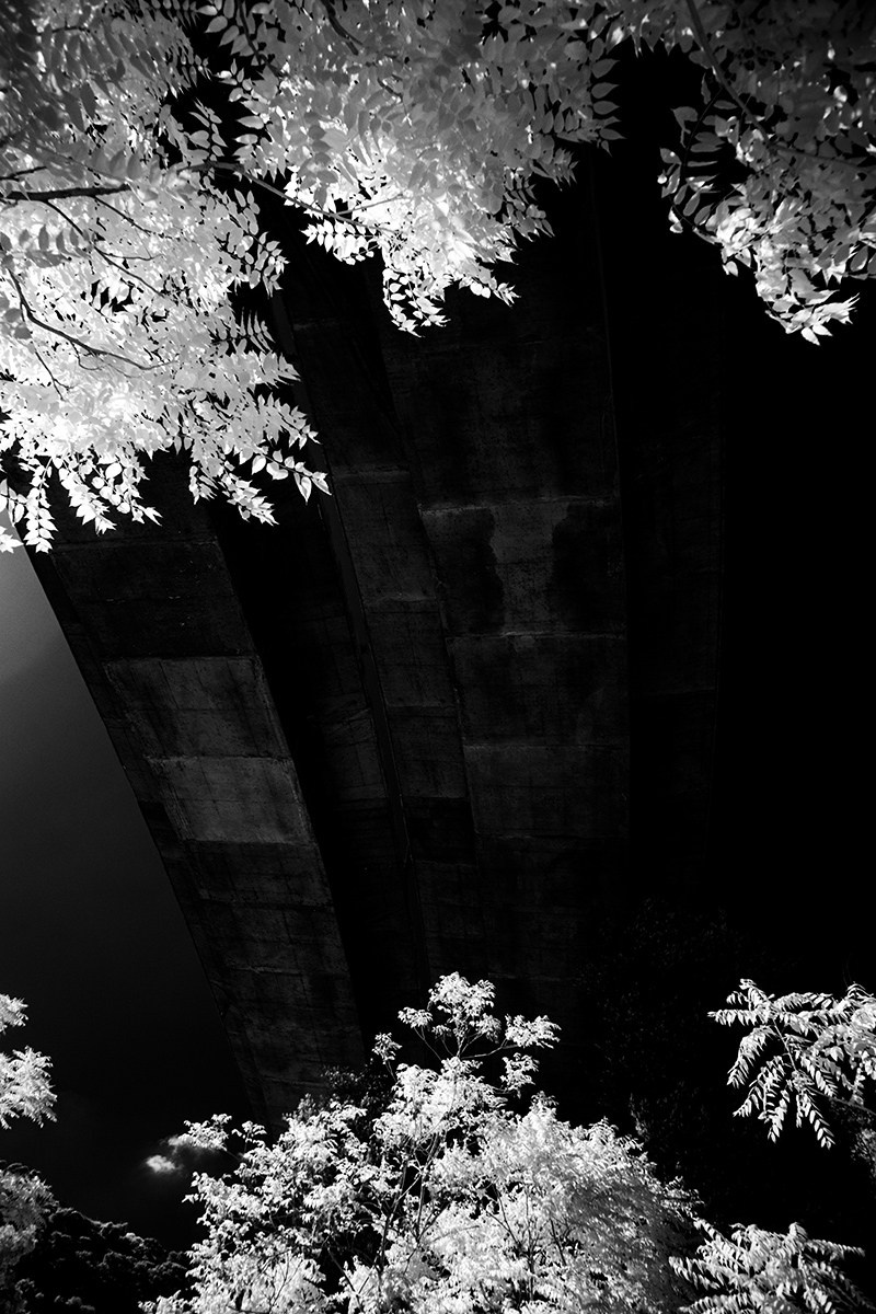 Отпечатки света. Фотограф в Израиле Максим Саяпин