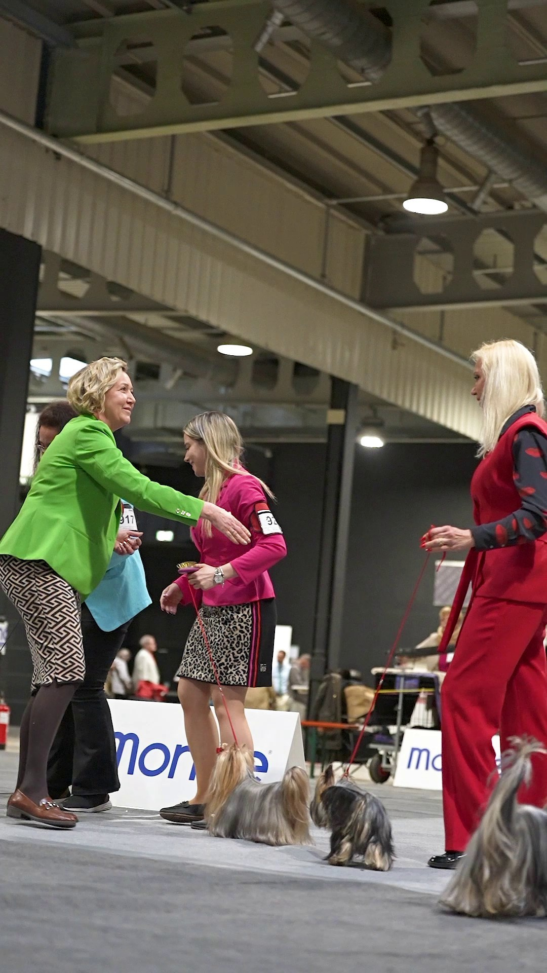 🇱🇺 LUXEMBOURG 🇱🇺 International Dog Show 4-5/04/2026. Photographe à Strasbourg | Portraits, Studio, Enfants, Événements
