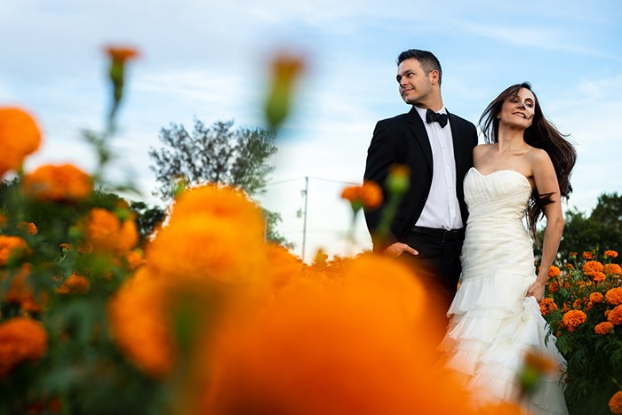 Post Boda. Principal