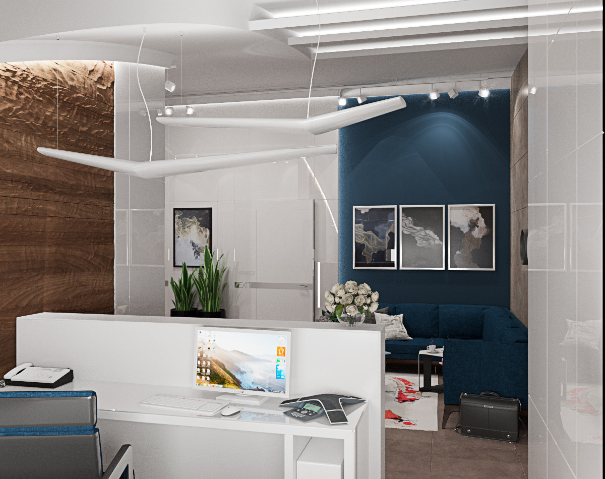 Головной офис транснациональной компании GRISAN hamb. 90 м². г. Кишинев. Архитектор, дизайнер интерьера, декоратор