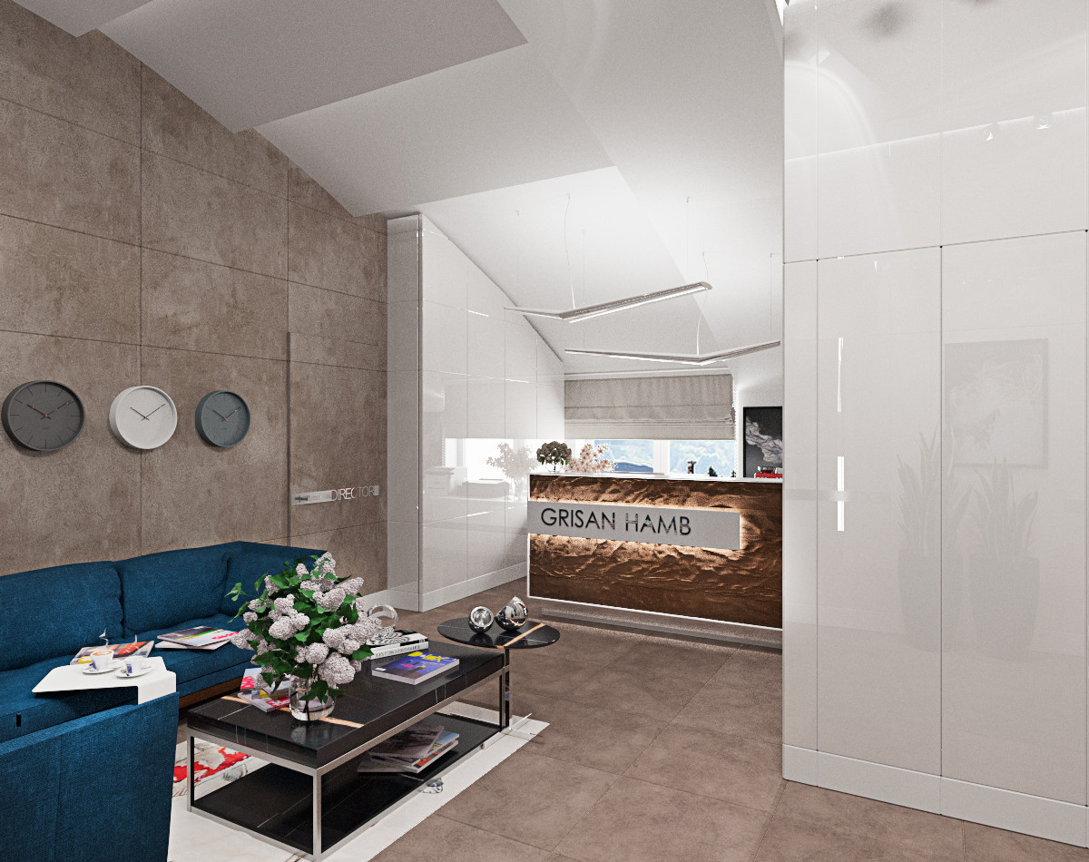 Головной офис транснациональной компании GRISAN hamb. 90 м². г. Кишинев. Архитектор, дизайнер интерьера, декоратор