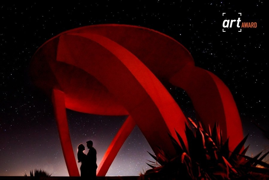 FINEART ASSOCIATION. Wedding photographer in Orlando, Boston & New York Anderson Marques