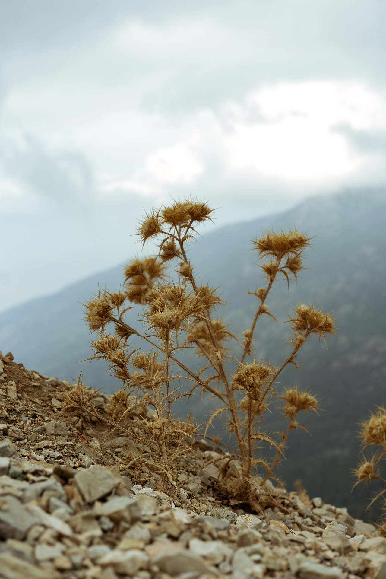 Hedonism Cycling Camp 2021 #cycling. Photographer Evgeniya Dovgalyuk