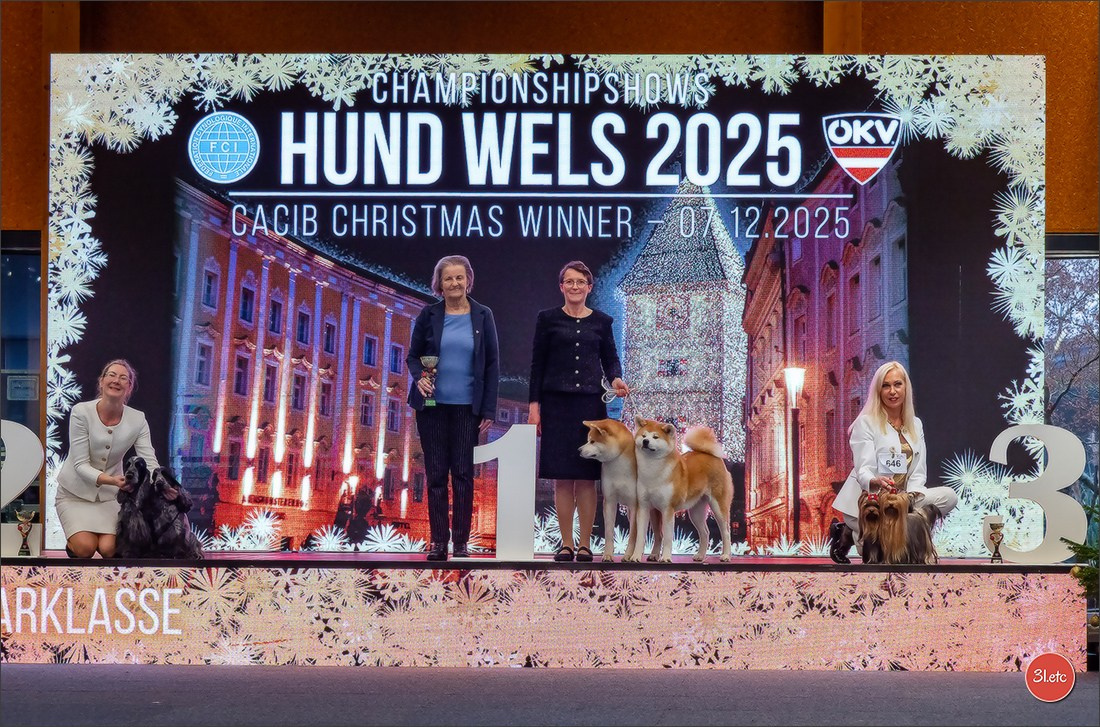 Dog Show WELS   🇦🇹  06-07/12/2025. Photographe à Strasbourg | Portraits, Studio, Enfants, Événements