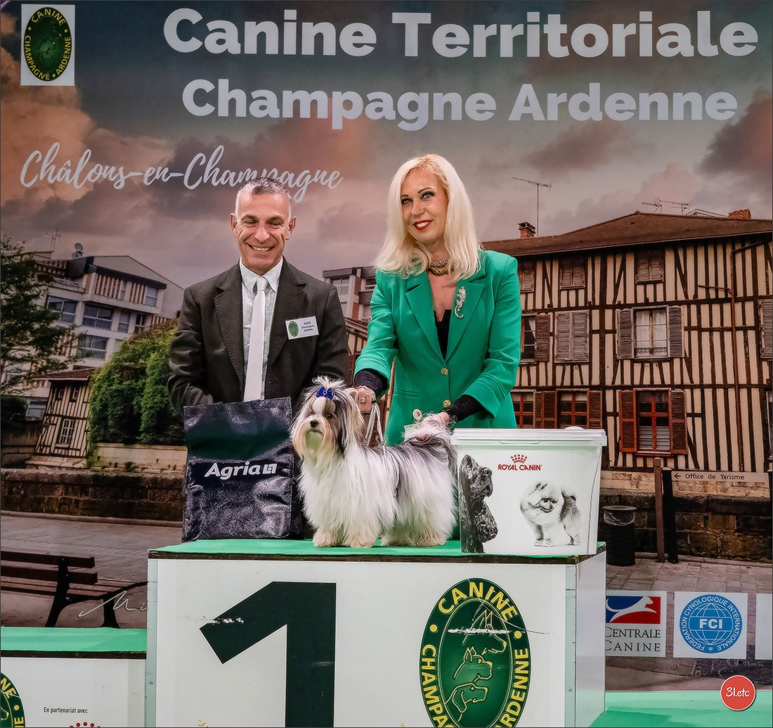 🇫🇷  Chalons en Champagne  🇫🇷  Expo canine  31/01-01/02/2026. Photographe à Strasbourg | Portraits, Studio, Enfants, Événements
