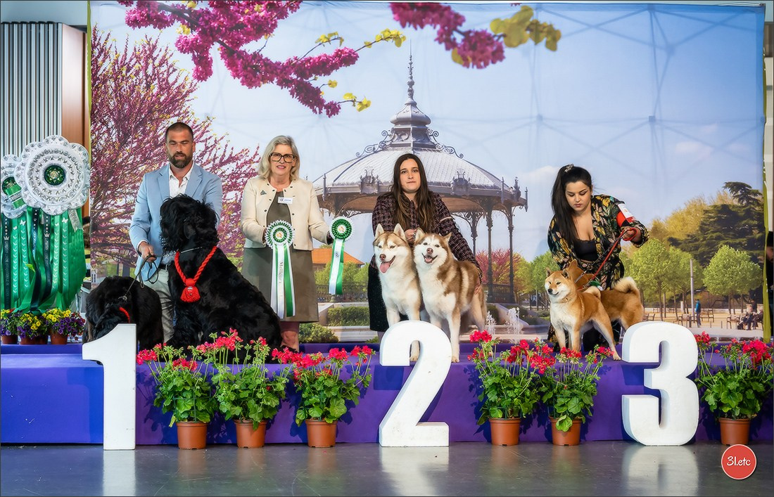 Expo canine 🇫🇷 Valence 02-03/05/2026