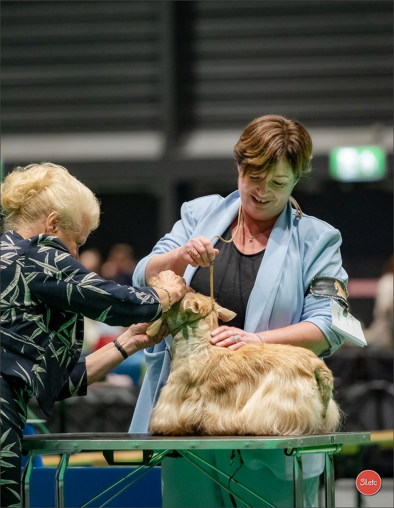 🇳🇱 IDS Maastricht 27/28 Sept 2025 🇳🇱. Photographe à Strasbourg | Portraits, Studio, Enfants, Événements