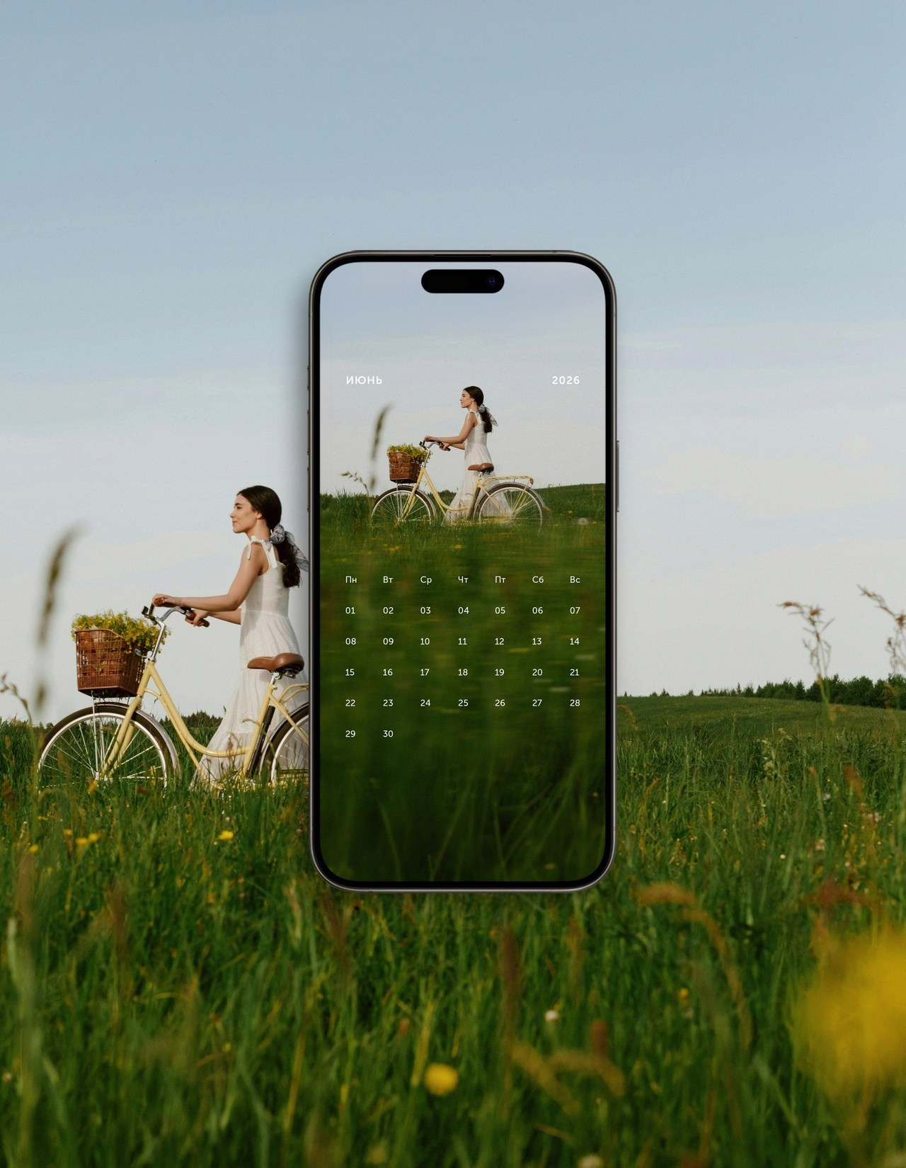 Отзывы профессиональных фотографов о диске Wfolio